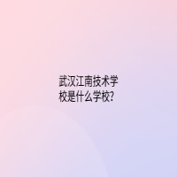 武漢江南技術(shù)學(xué)校是什么學(xué)校？