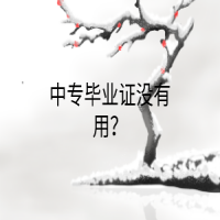 中專畢業(yè)證沒有用？