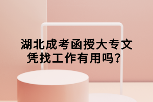 湖北成考函授大專文憑找工作有用嗎？