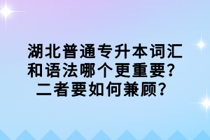 湖北普通專升本詞匯和語法哪個更重要？二者要如何兼顧？