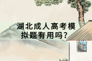 湖北成人高考模擬題有用嗎？