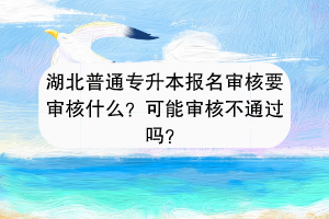 湖北普通專升本報(bào)名審核要審核什么？可能審核不通過(guò)嗎？