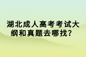 湖北成人高考考試大綱和真題去哪找？