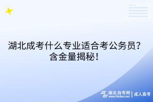 湖北成考什么專業(yè)適合考公務(wù)員？含金量揭秘！