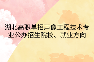 湖北高職單招聲像工程技術(shù)專業(yè)公辦招生院校、就業(yè)方向