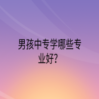 男孩中專(zhuān)學(xué)哪些專(zhuān)業(yè)好？