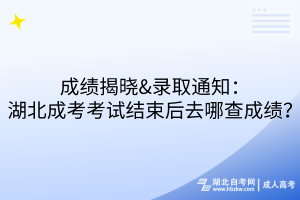 成績揭曉&錄取通知：湖北成考考試結束后去哪查成績？
