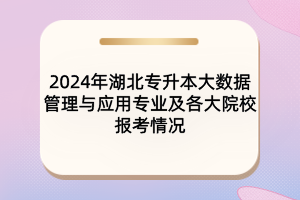 2024年湖北專升本大數(shù)據(jù)管理與應用專業(yè)及各大院校報考情況