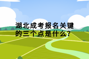 湖北成考報名關(guān)鍵的三個點是什么？