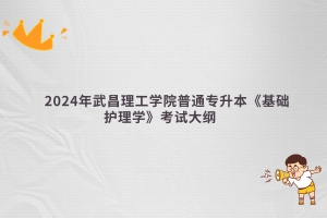 2024年武昌理工學(xué)院普通專(zhuān)升本《基礎(chǔ)護(hù)理學(xué)》考試大綱