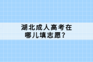湖北成人高考在哪兒填志愿？