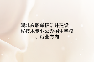 湖北高職單招礦井建設(shè)工程技術(shù)專業(yè)公辦招生學(xué)校、就業(yè)方向