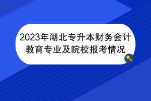 2023年湖北專升本財務會計教育專業(yè)及院校報考情況