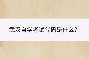 武漢自學考試代碼是什么？