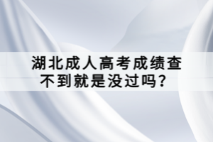 湖北成人高考成績查不到就是沒過嗎？