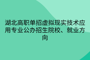 湖北高職單招虛擬現(xiàn)實技術應用專業(yè)公辦招生院校、就業(yè)方向