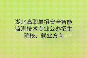 湖北高職單招安全智能監(jiān)測技術專業(yè)公辦招生院校、就業(yè)方向