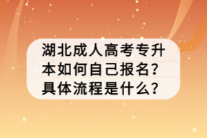 湖北成人高考專升本如何自己報名？具體流程是什么？