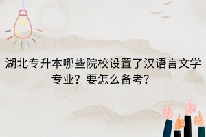 湖北專升本哪些院校設置了漢語言文學專業(yè)？要怎么備考？