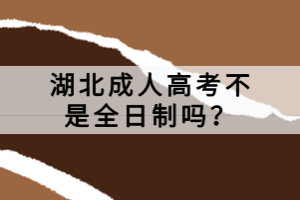 湖北成人高考不是全日制嗎？