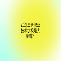 武漢三新職業(yè)技術(shù)學校是大專嗎？