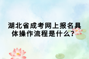 湖北省成考網(wǎng)上報(bào)名具體操作流程是什么？