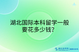 湖北國際本科一般要花多少錢？