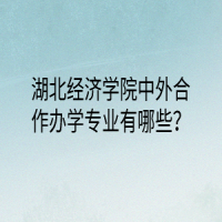 湖北經(jīng)濟(jì)學(xué)院中外合作辦學(xué)專業(yè)有哪些？