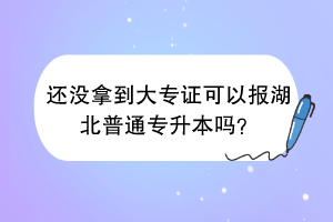 還沒拿到大專證可以報湖北普通專升本嗎？