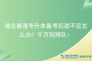 湖北普通專升本備考后勁不足怎么辦？千萬別掉隊！