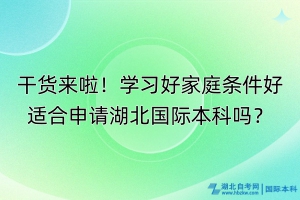 干貨來啦！學(xué)習(xí)好家庭條件好適合申請湖北國際本科嗎？