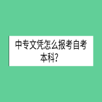 中專文憑怎么報(bào)考自考本科？