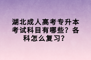 湖北成人高考專升本考試科目有哪些？各科怎么復(fù)習(xí)？