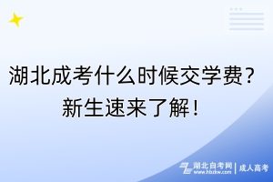 湖北成考什么時候交學(xué)費？新生速來了解！