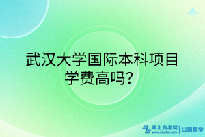 武漢大學國際本科項目學費高嗎？