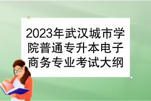 2023年武漢城市學院普通專升本電子商務專業(yè)考試大綱