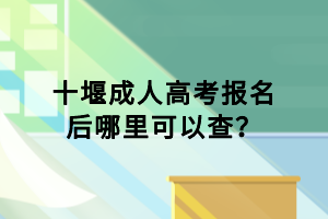 十堰成人高考報(bào)名后哪里可以查？