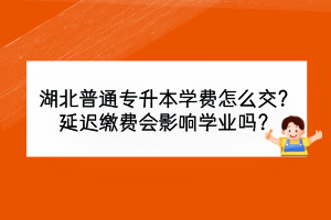 湖北普通專升本學(xué)費怎么交？延遲繳費會影響學(xué)業(yè)嗎？