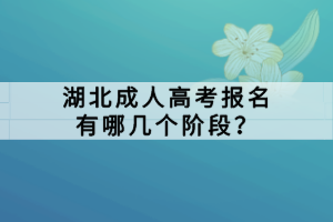 湖北成人高考報(bào)名有哪幾個(gè)階段？