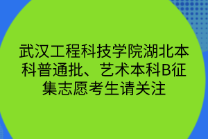 武漢工程科技學(xué)院湖北本科普通批、藝術(shù)本科B征集志愿考生請關(guān)注