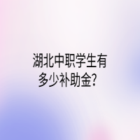 湖北中職學(xué)生有多少補(bǔ)助金？