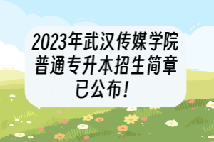 2023年武漢傳媒學(xué)院普通專升本招生簡(jiǎn)章已公布！