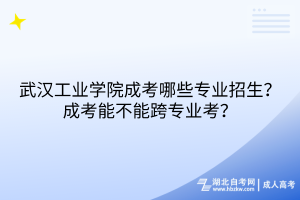武漢工業(yè)學院成考哪些專業(yè)招生？成考能不能跨專業(yè)考？
