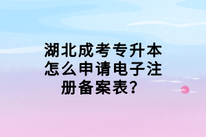 湖北成考專升本怎么申請電子注冊備案表？