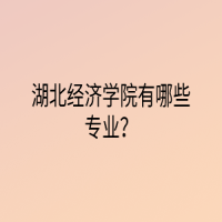 湖北經(jīng)濟(jì)學(xué)院有哪些專業(yè)？