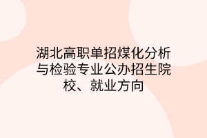 湖北高職單招煤化分析與檢驗(yàn)專業(yè)公辦招生院校、就業(yè)方向