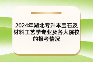 2024年湖北專升本寶石及材料工藝學專業(yè)及院校報考情況