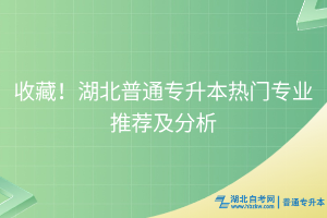 收藏！湖北普通專升本熱門(mén)專業(yè)推薦及分析