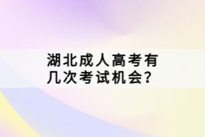 湖北成人高考有幾次考試機會？