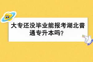 大專還沒畢業(yè)能報考湖北普通專升本嗎？